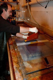 The sensitized tissue is applied to plexi-glass