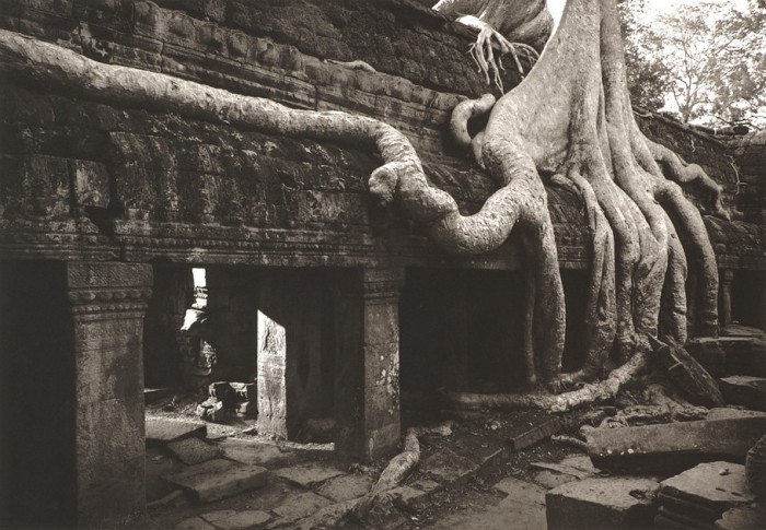 Angkor Wat 158