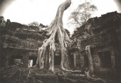 Angkor Wat 26